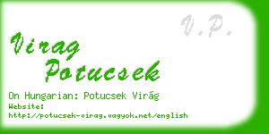 virag potucsek business card